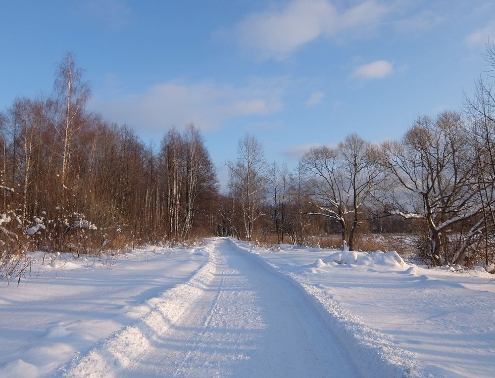 Зимняя дорога.