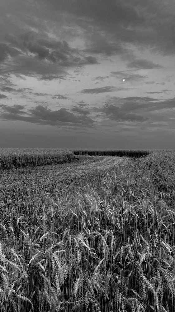 Photograph by Oksana Shchegolkova