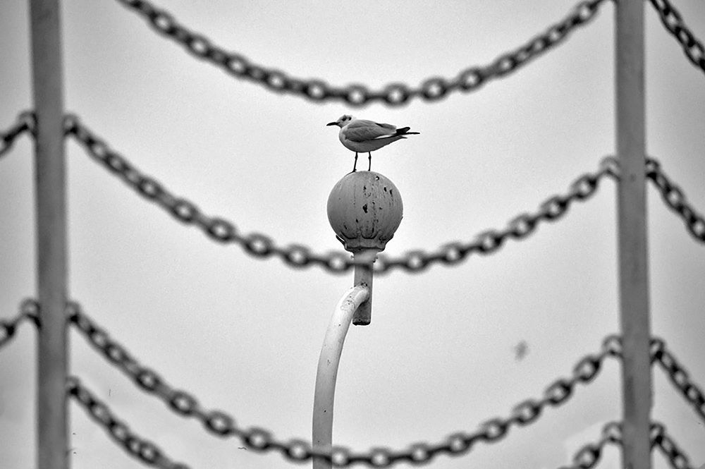 Photograph by ARDALAN ASHENAGAR