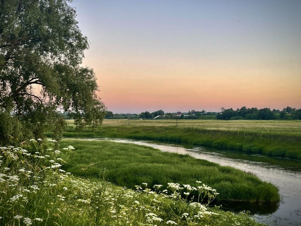 Фотография автора Юлия Шумейко