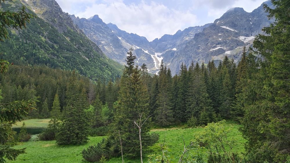 Фотография автора Wilson Mendes fh