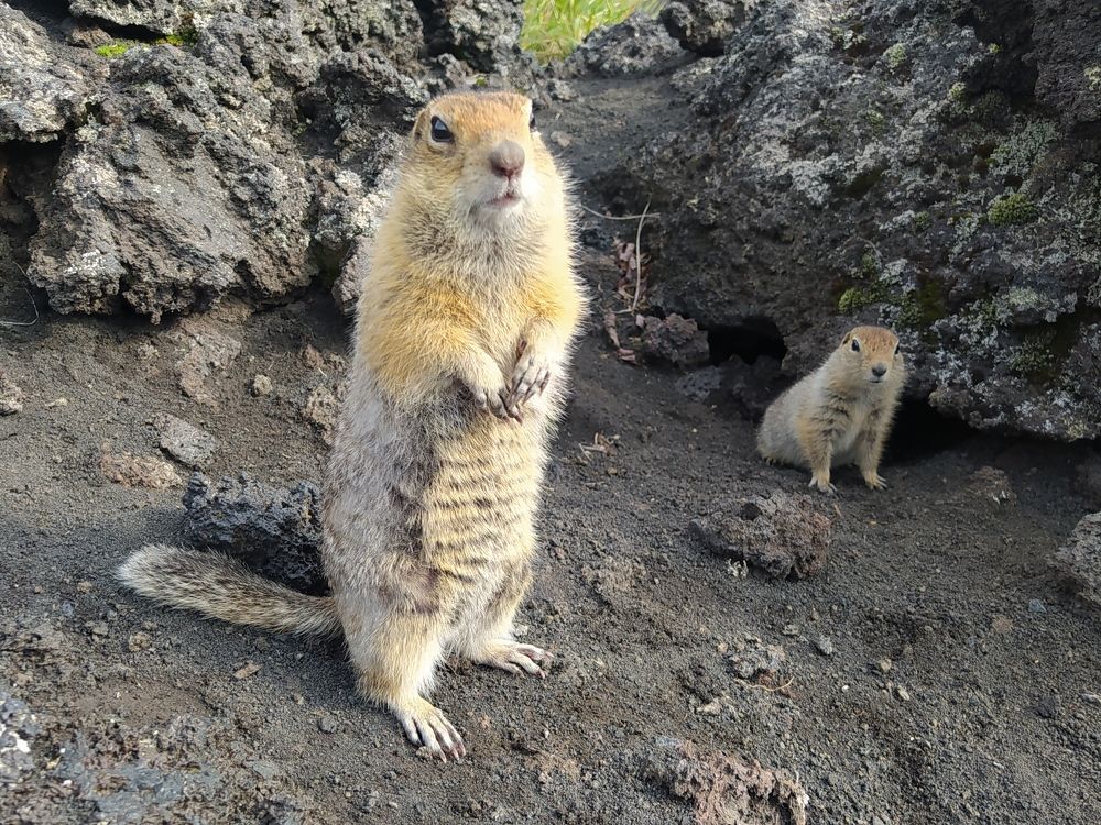 Фотография автора Сергей Камнев