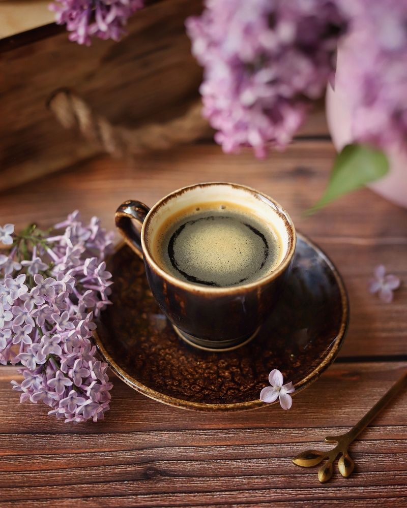 Photograph by Катерина Пристрем