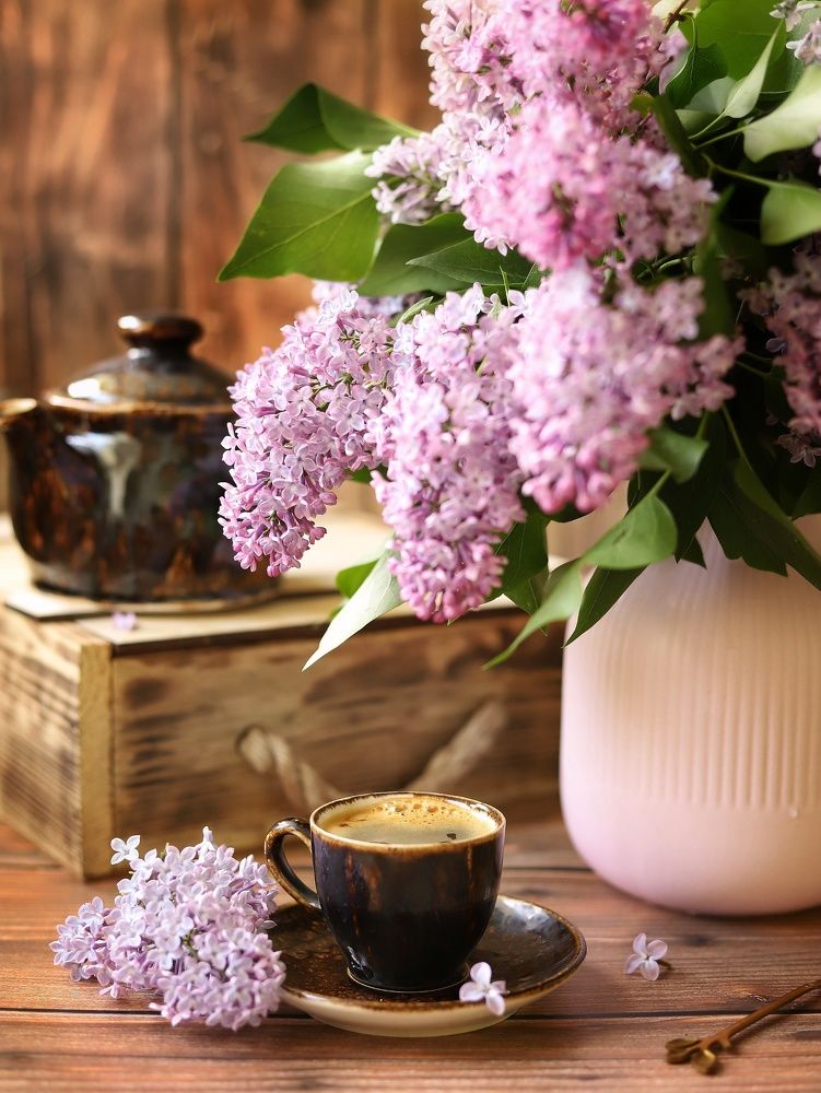 Photograph by Катерина Пристрем