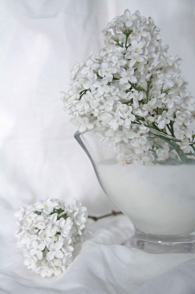 Photograph by Мария Королькова