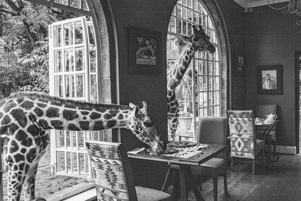 Photograph by Eduardo Moreno