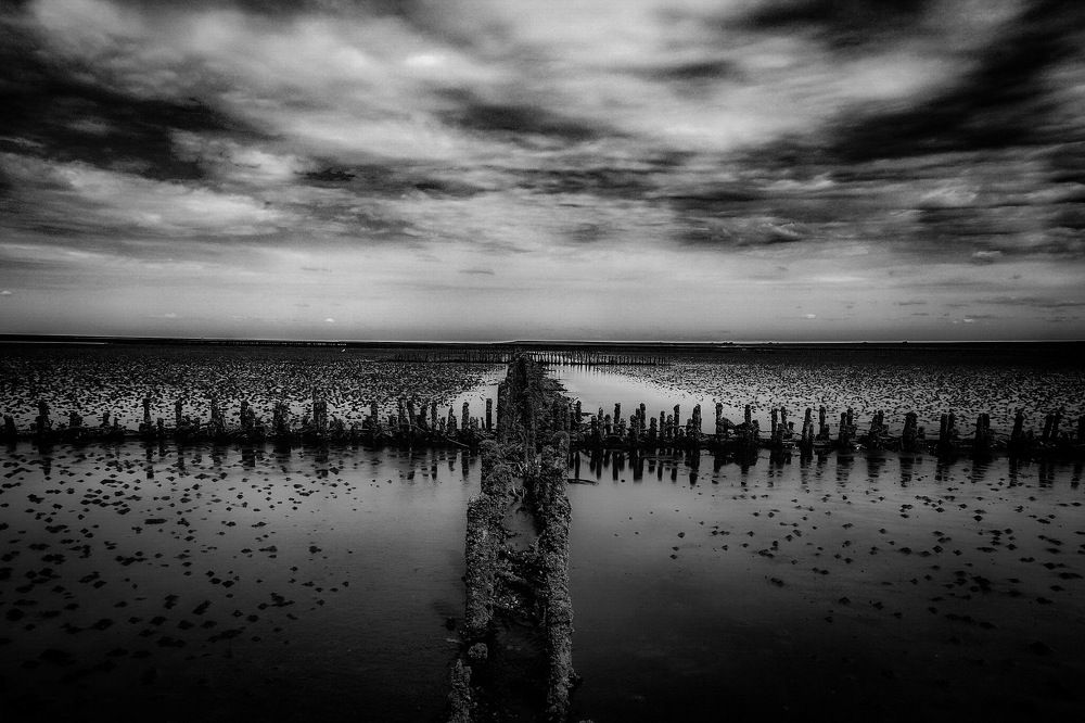Photograph by Son Ja