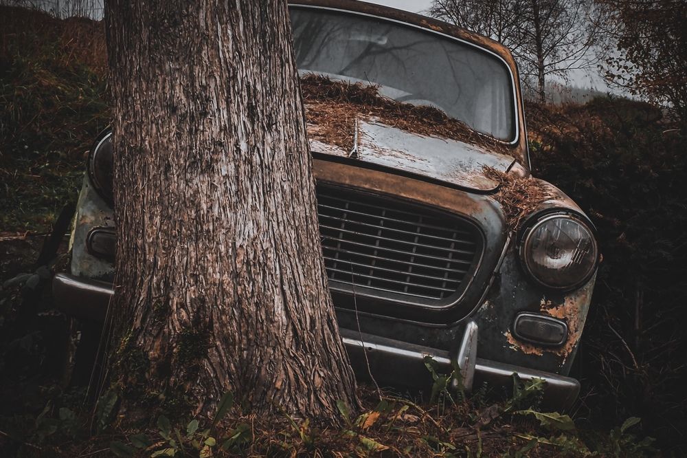 Photograph by Son Ja