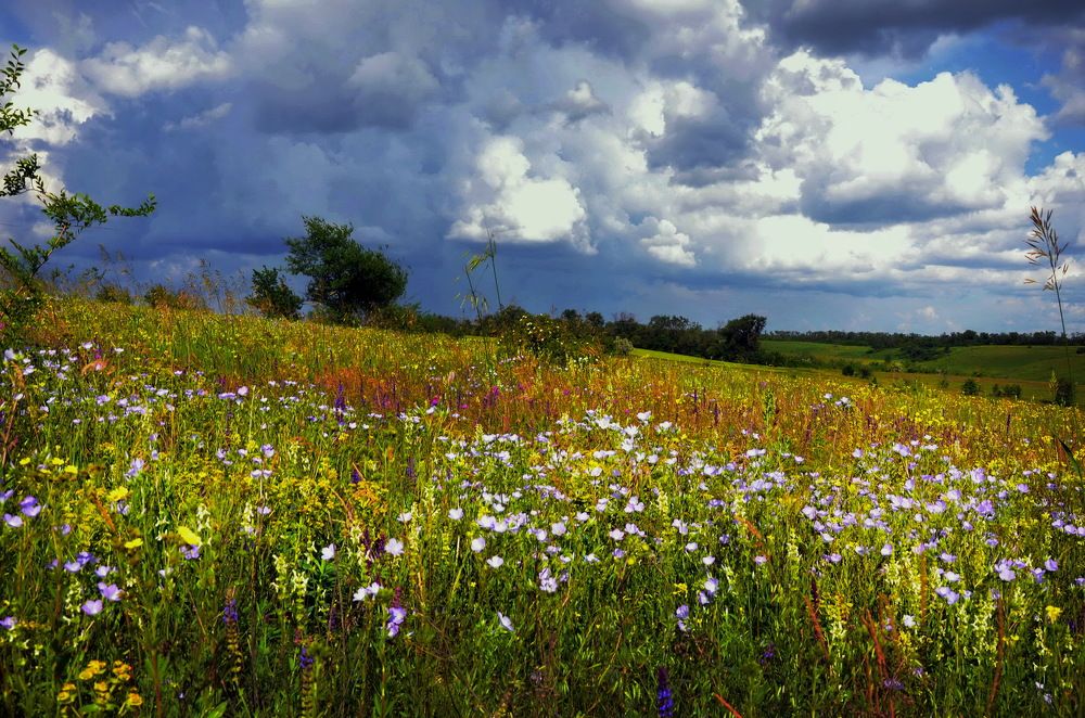 Photograph by Владимир Тертышник