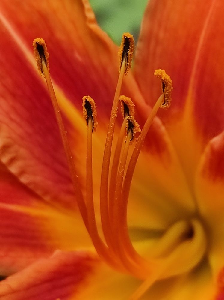 Photograph by Луиза Баширова