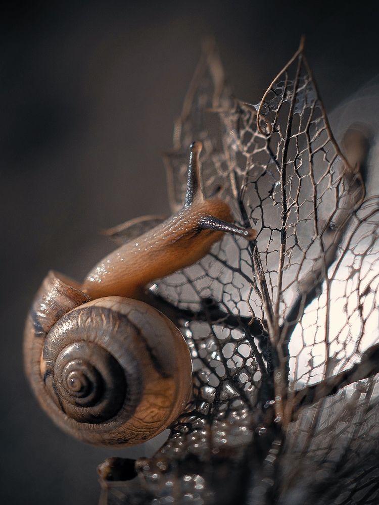 Photograph by Марина Сидоренко