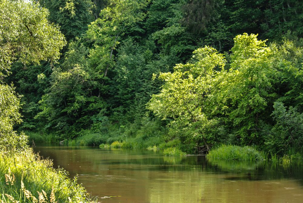 Photograph by Alexandra Chalova