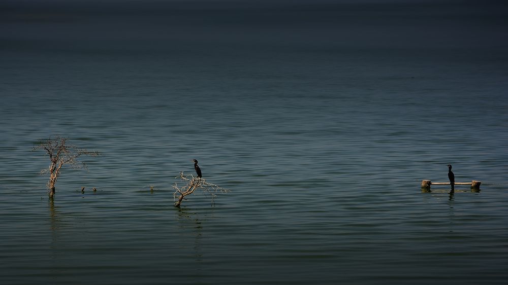 Фотография автора Daniel A. Pérez