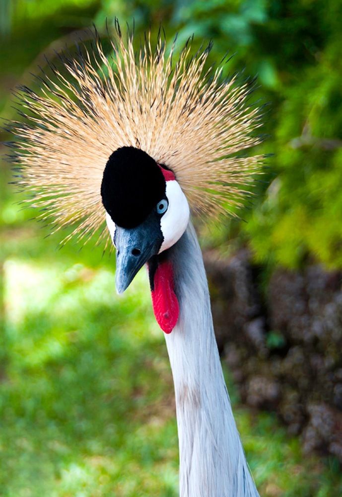 Фотография автора Дмитрий