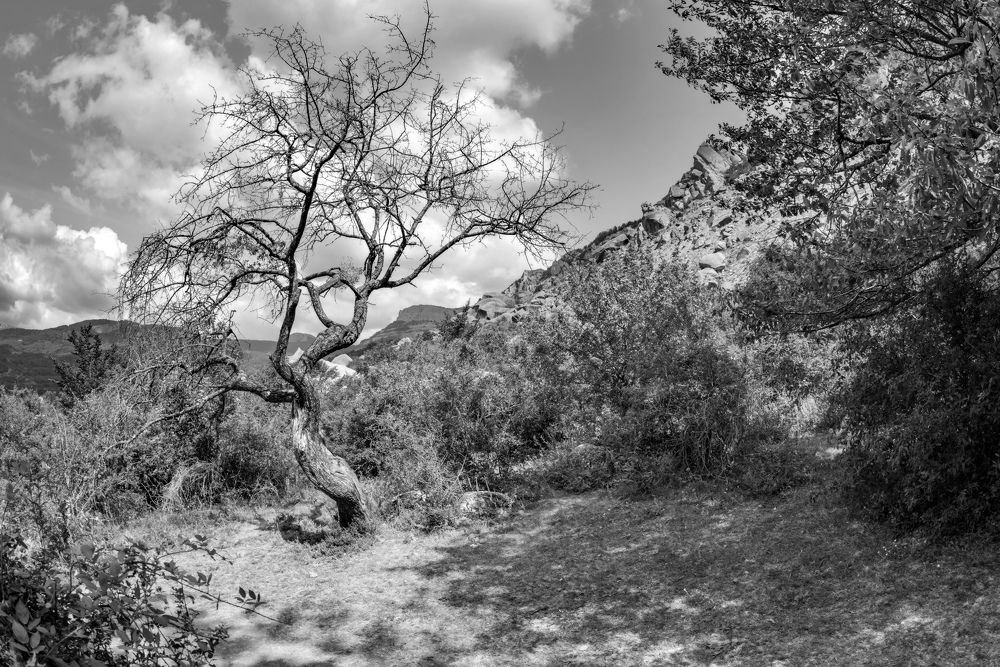 Фотография автора Дмитрий