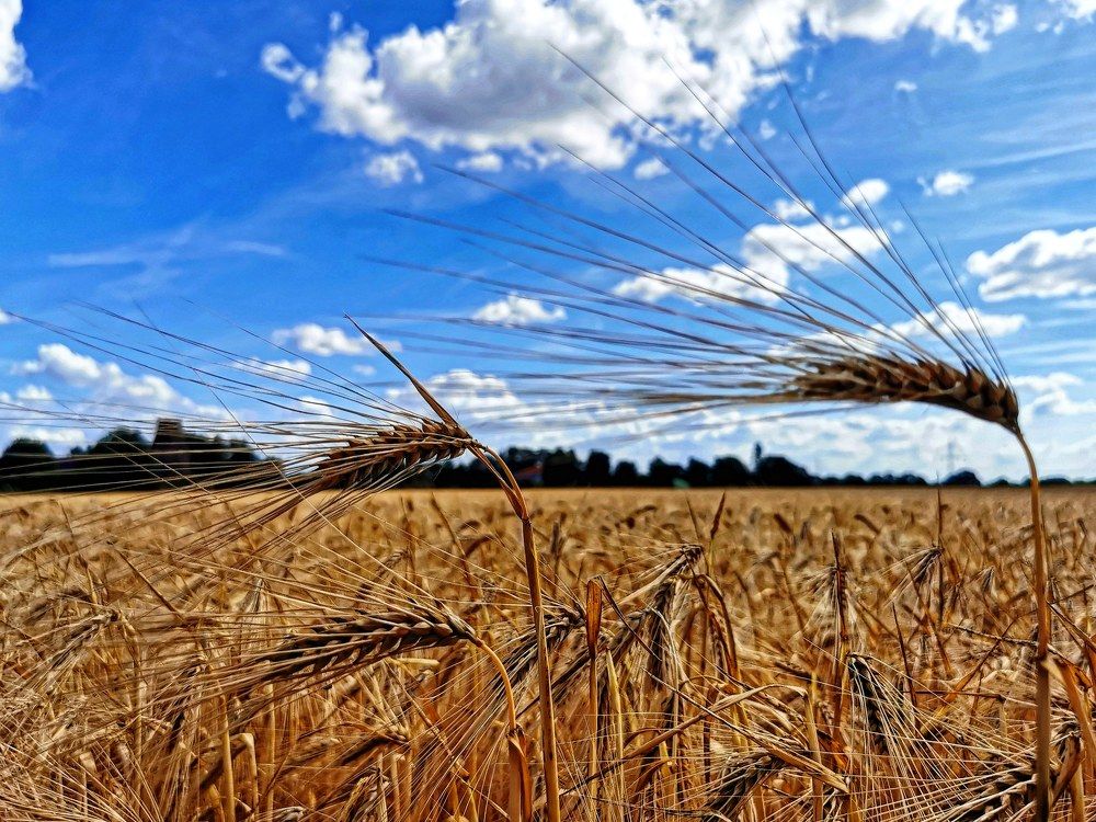 Photograph by Михаил Жарский