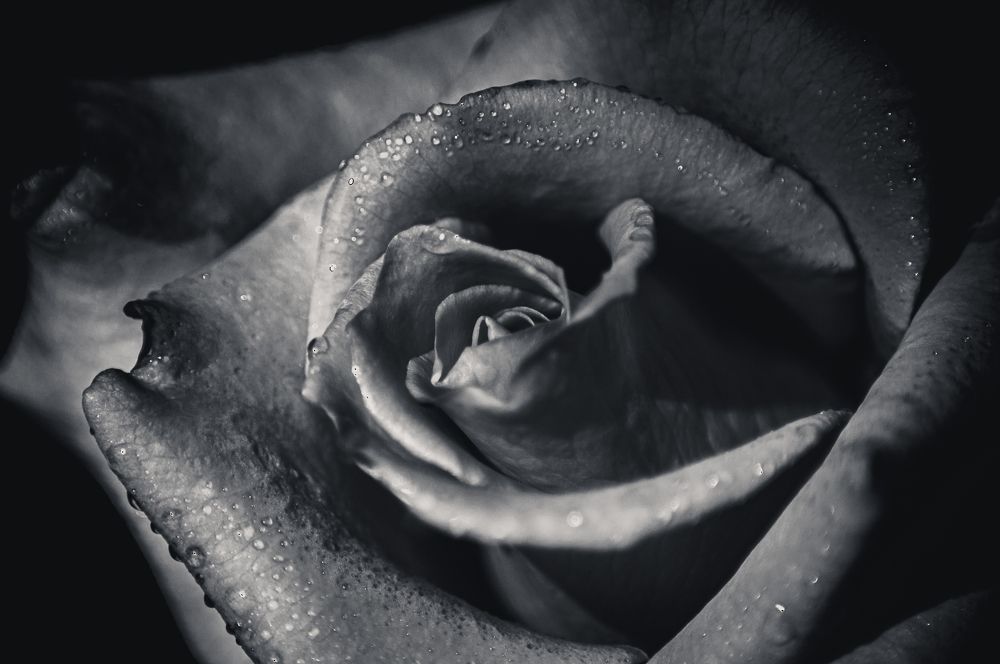 Photograph by Алексей Егоров