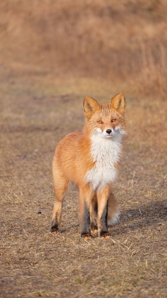 Photograph by Яна Бойко