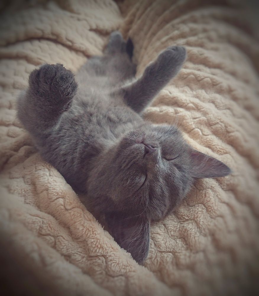 Photograph by Юрий Шарымов