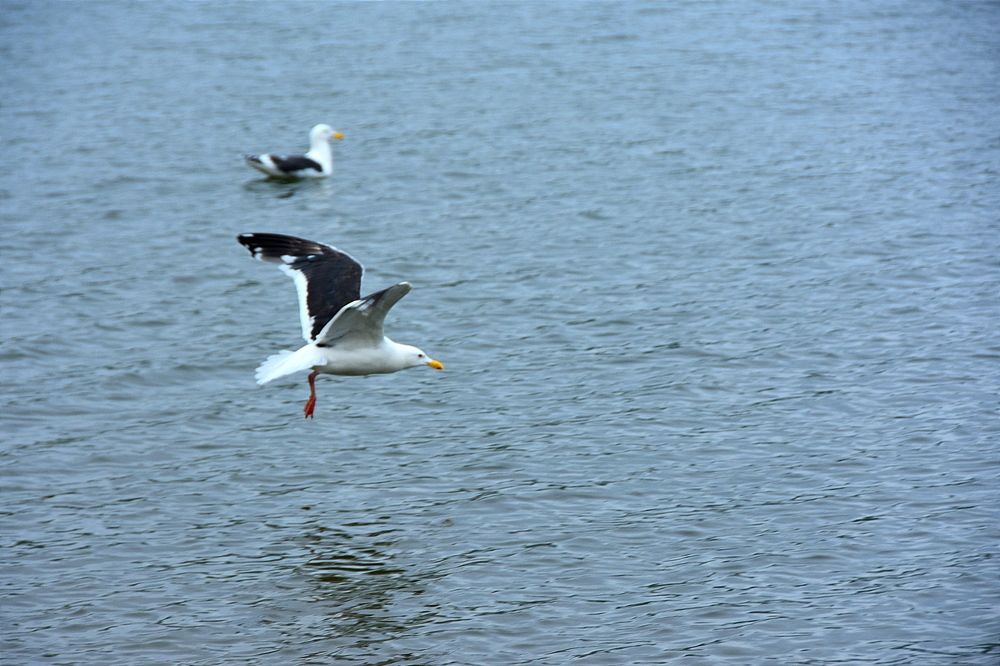 Photograph by Евгений Захаров