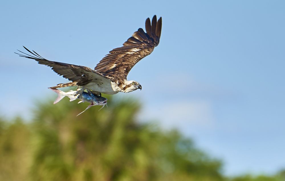 Photograph by Alexander Martin Sandez