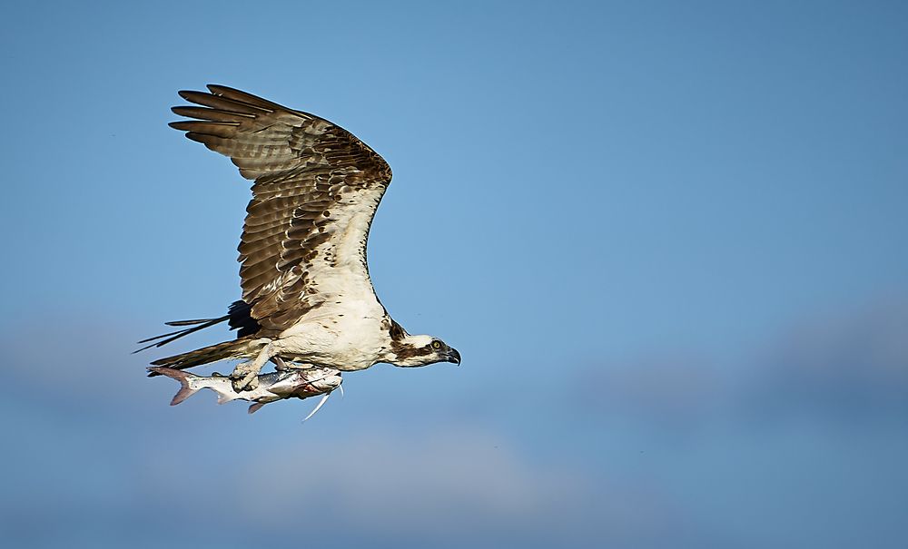 Photograph by Alexander Martin Sandez