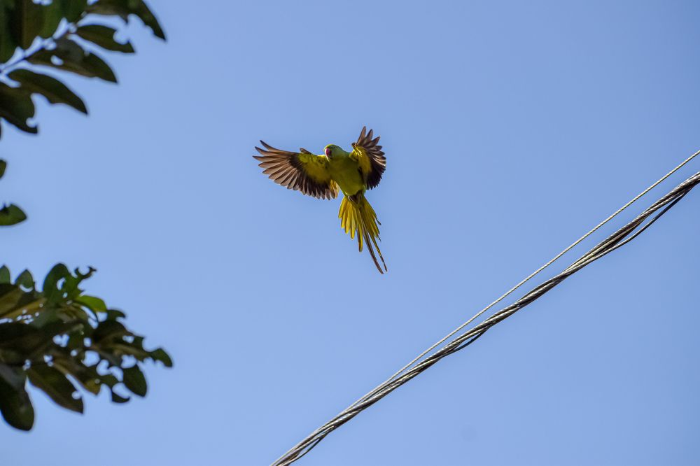 Photograph by Amit Solanki