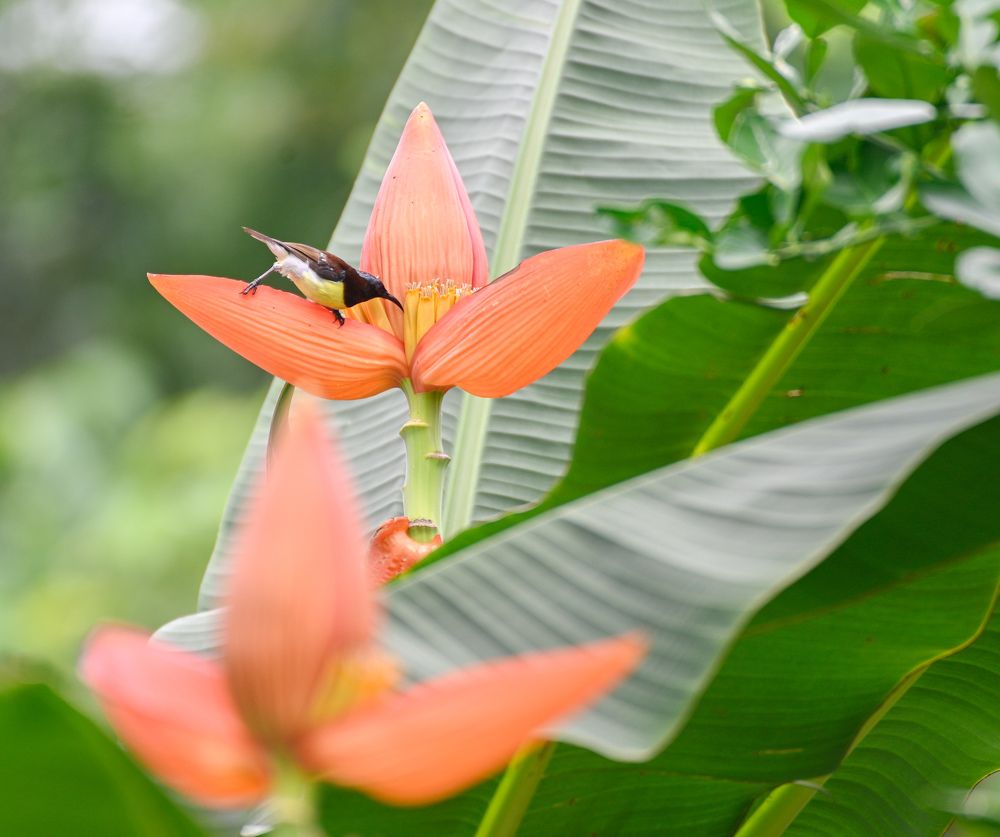 Photograph by Sharad Mansharamani