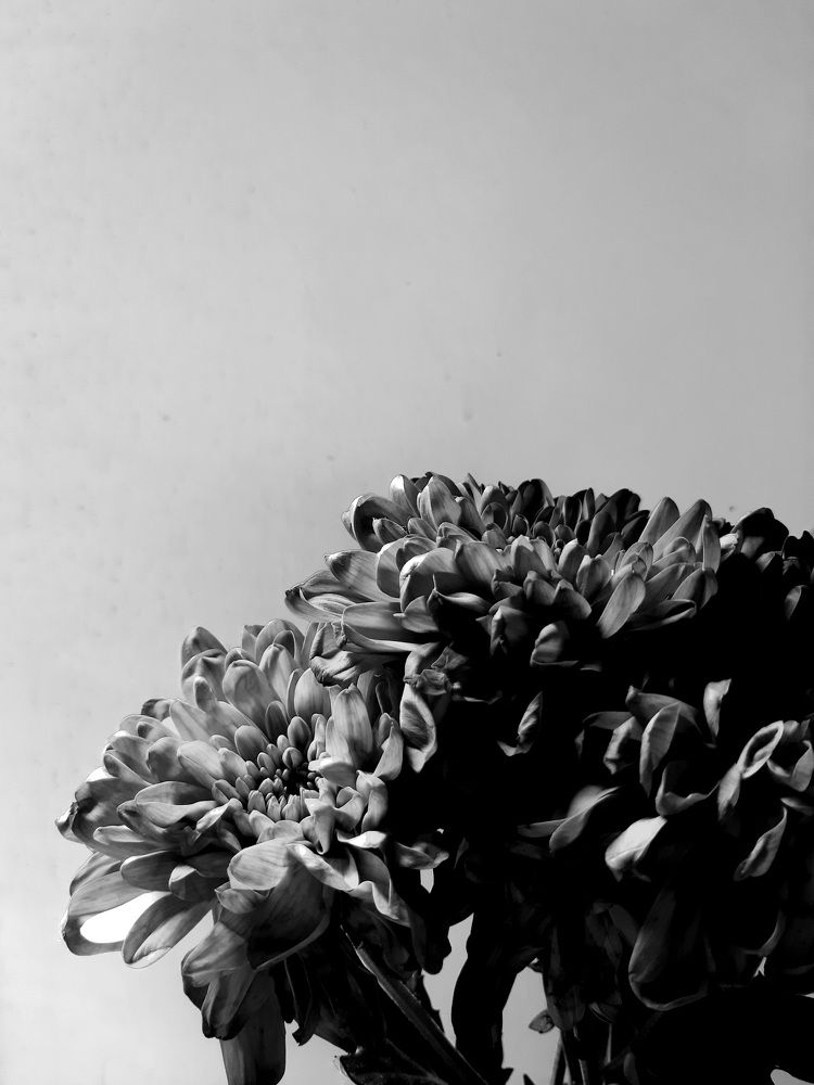 Фотография автора Hepzibah