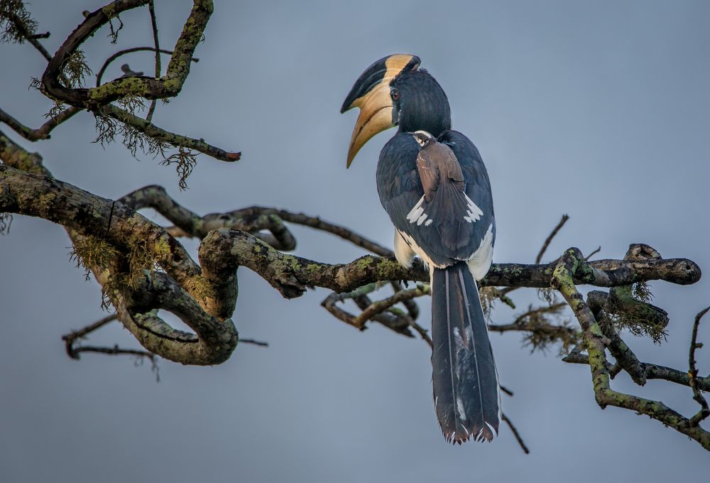 No, it's not a tattoo