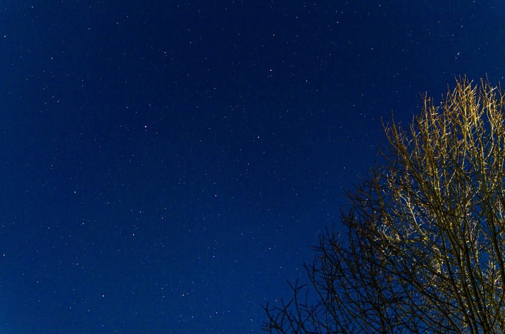 Photograph by Артём Шестаков