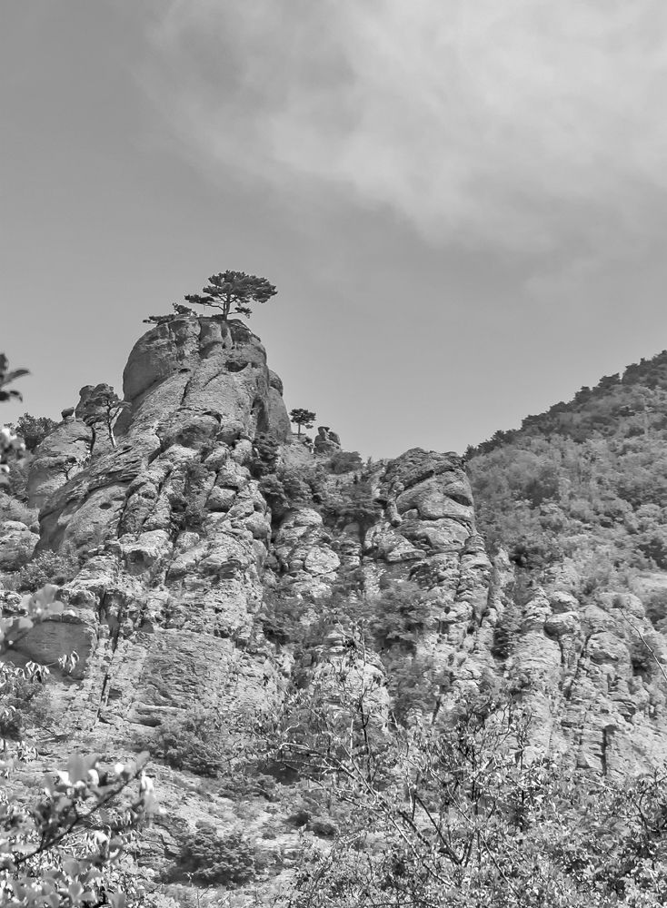 Фотография автора Дмитрий