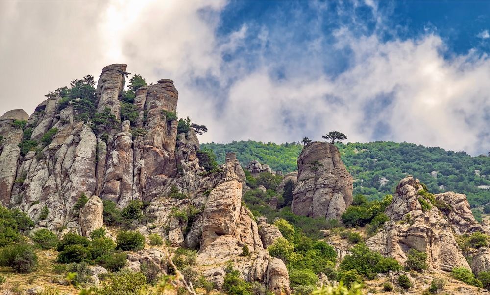 Фотография автора Дмитрий