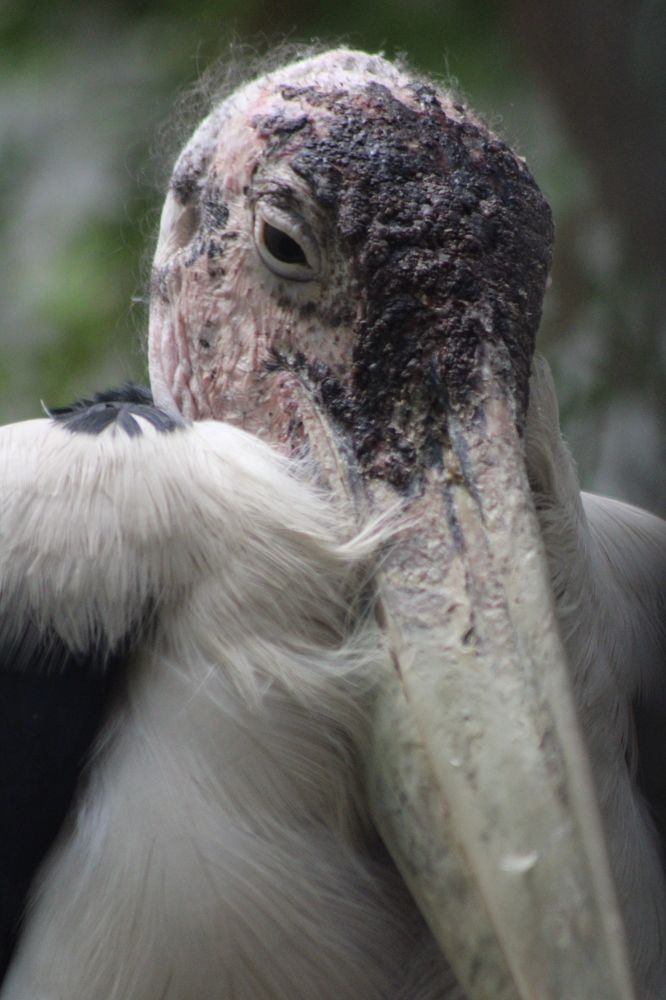 Photograph by Paulina Jarzyna