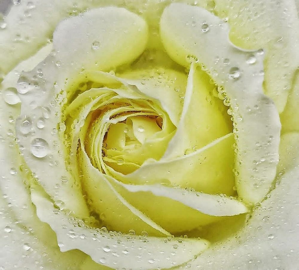 Photograph by Amin Golestanipour
