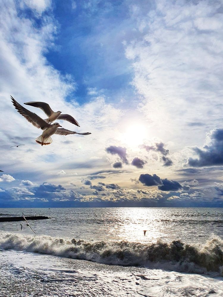 Photograph by Анна