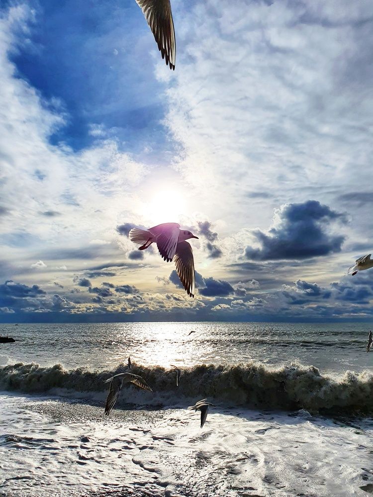 Photograph by Анна