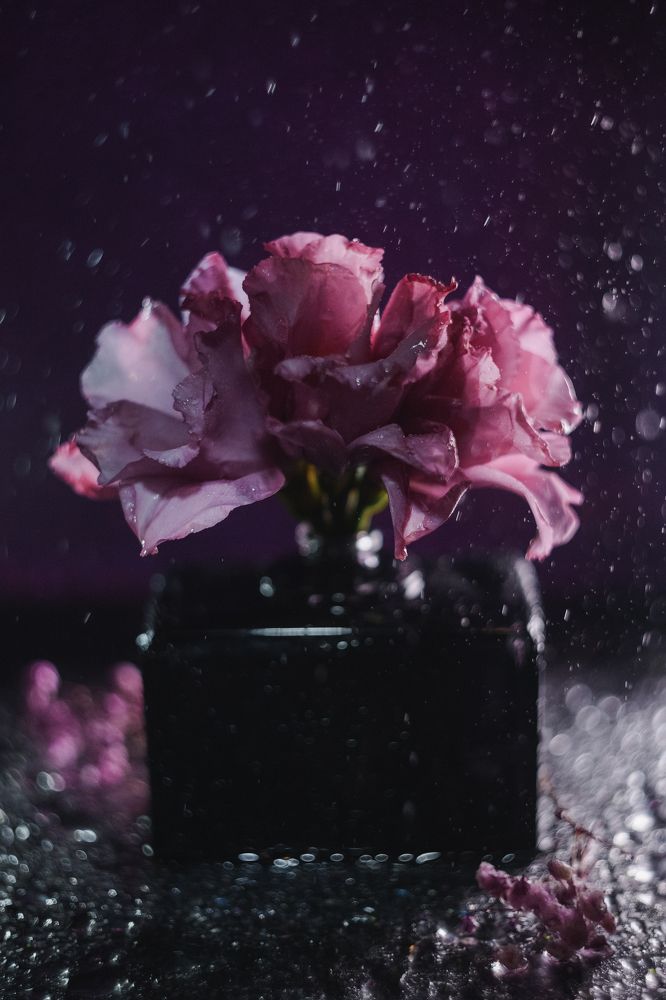 Photograph by Елена Княжева