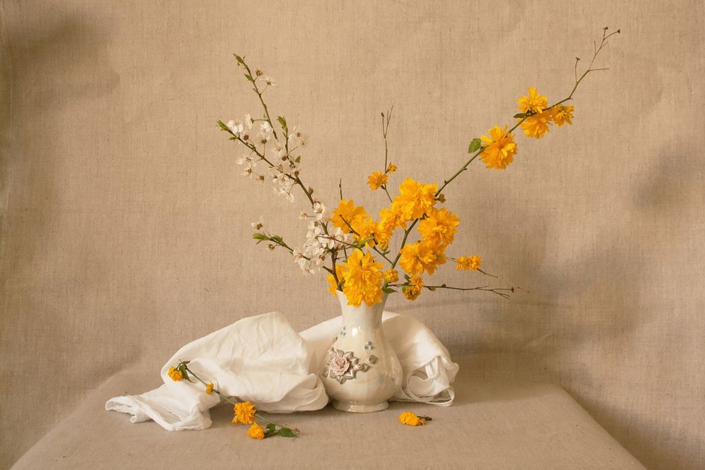 Photograph by Анна