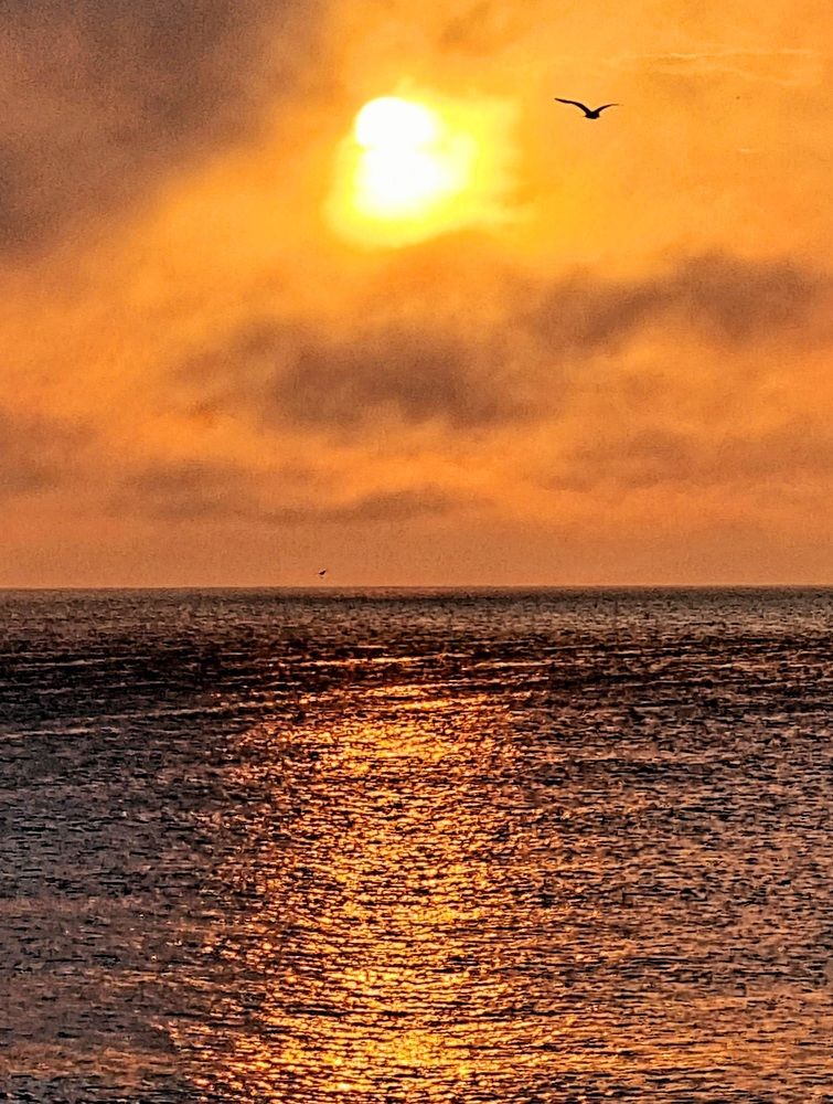 На встречу к солнцу