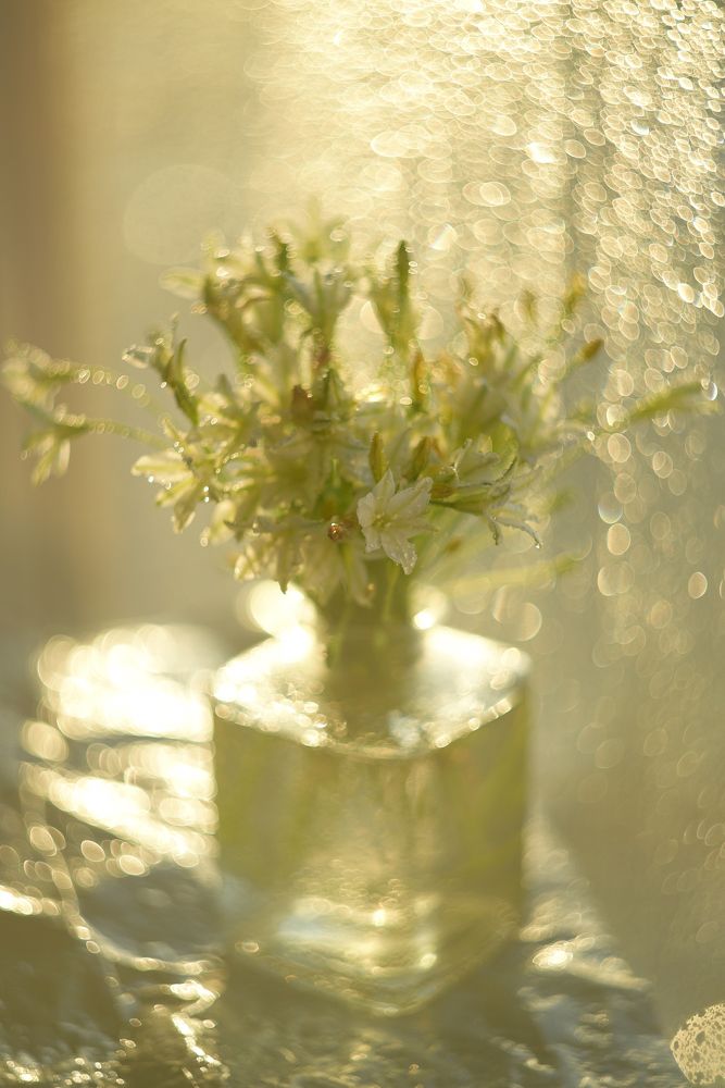 Photograph by Елена Княжева