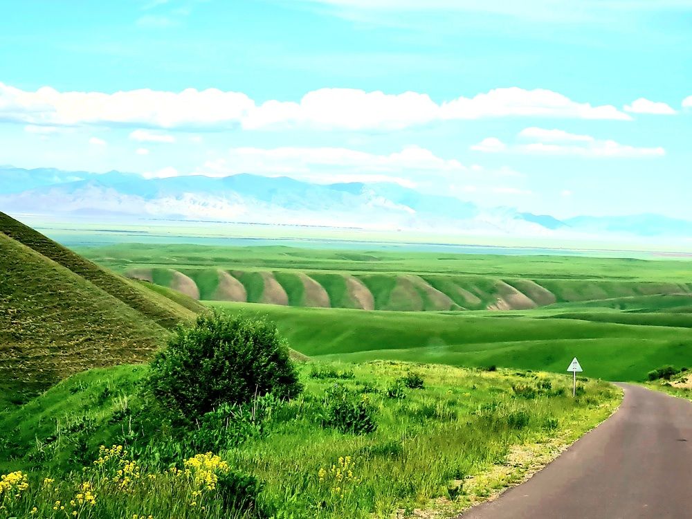 Photograph by Ирина Синягина