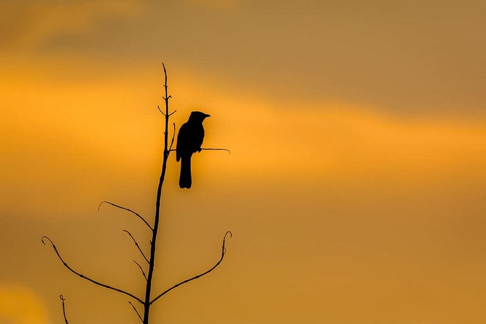 Photograph by jones anlimah