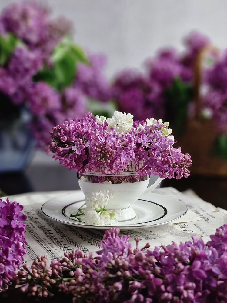 Photograph by Любовь Толстова