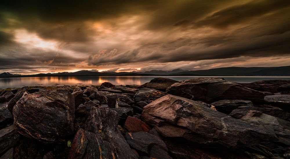 Photograph by Mahmud Tareq Khan