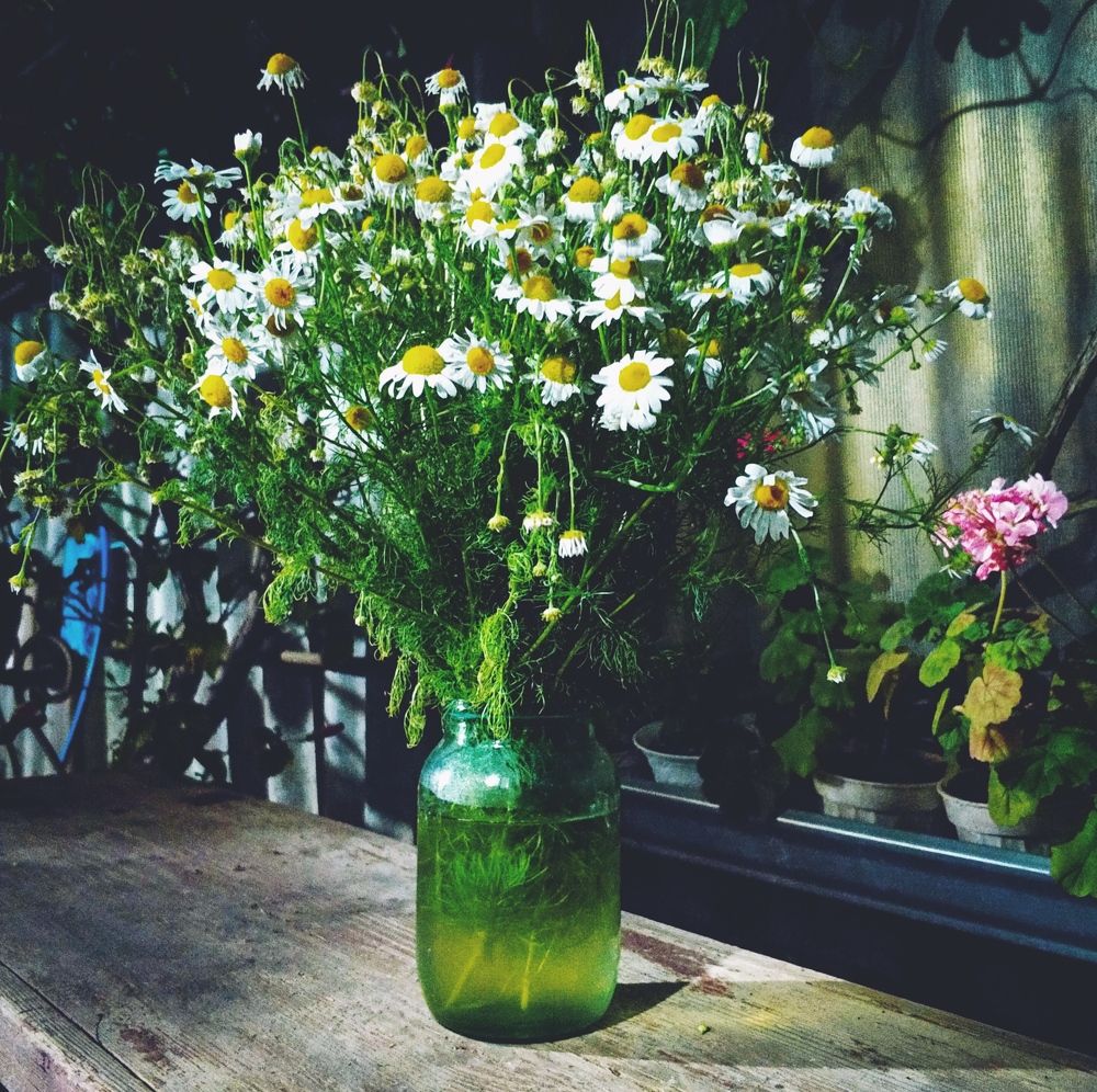 Photograph by Редько Александр