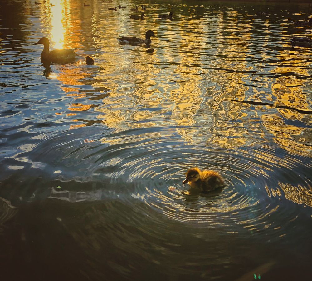 Photograph by Валентина Старикова