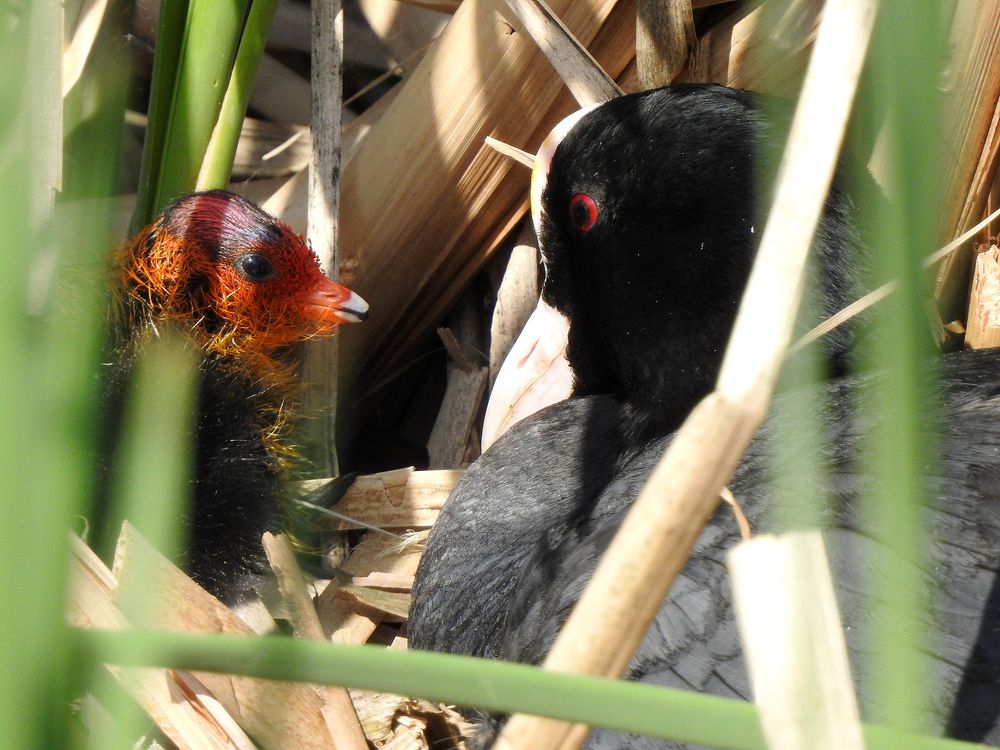 Photograph by Елена Старкова