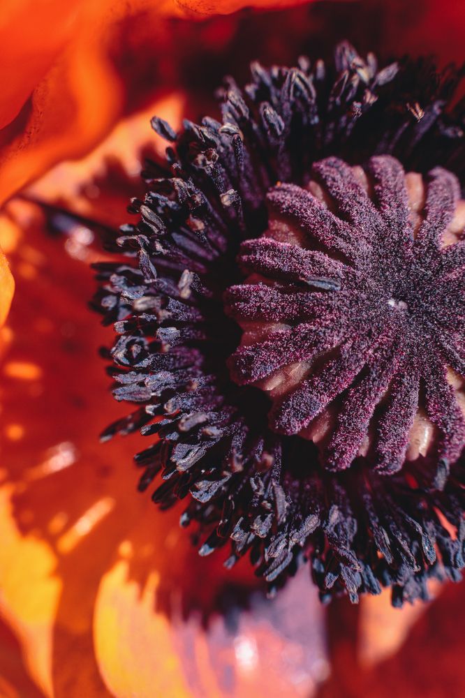 Photograph by Антон Хаткевич