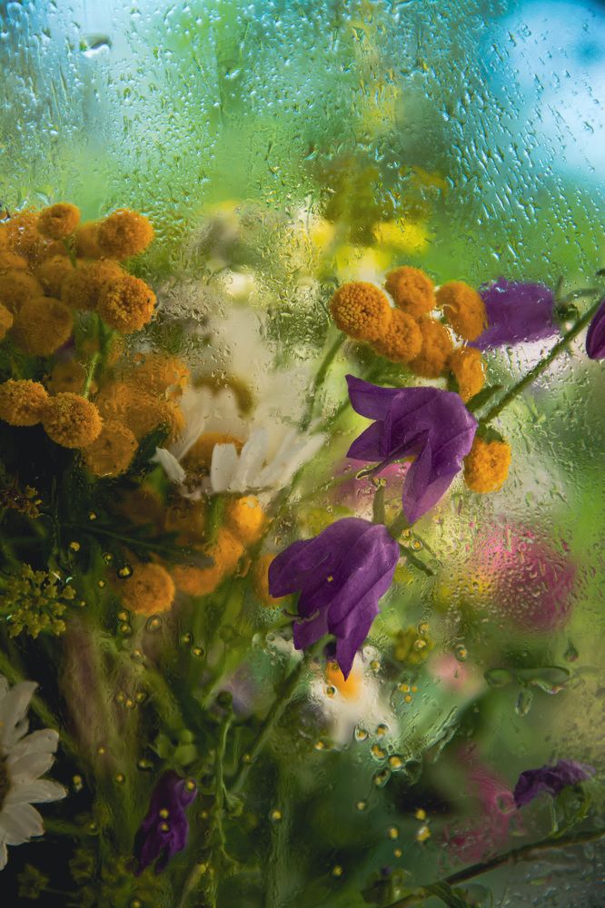 Photograph by Альбина Баташова